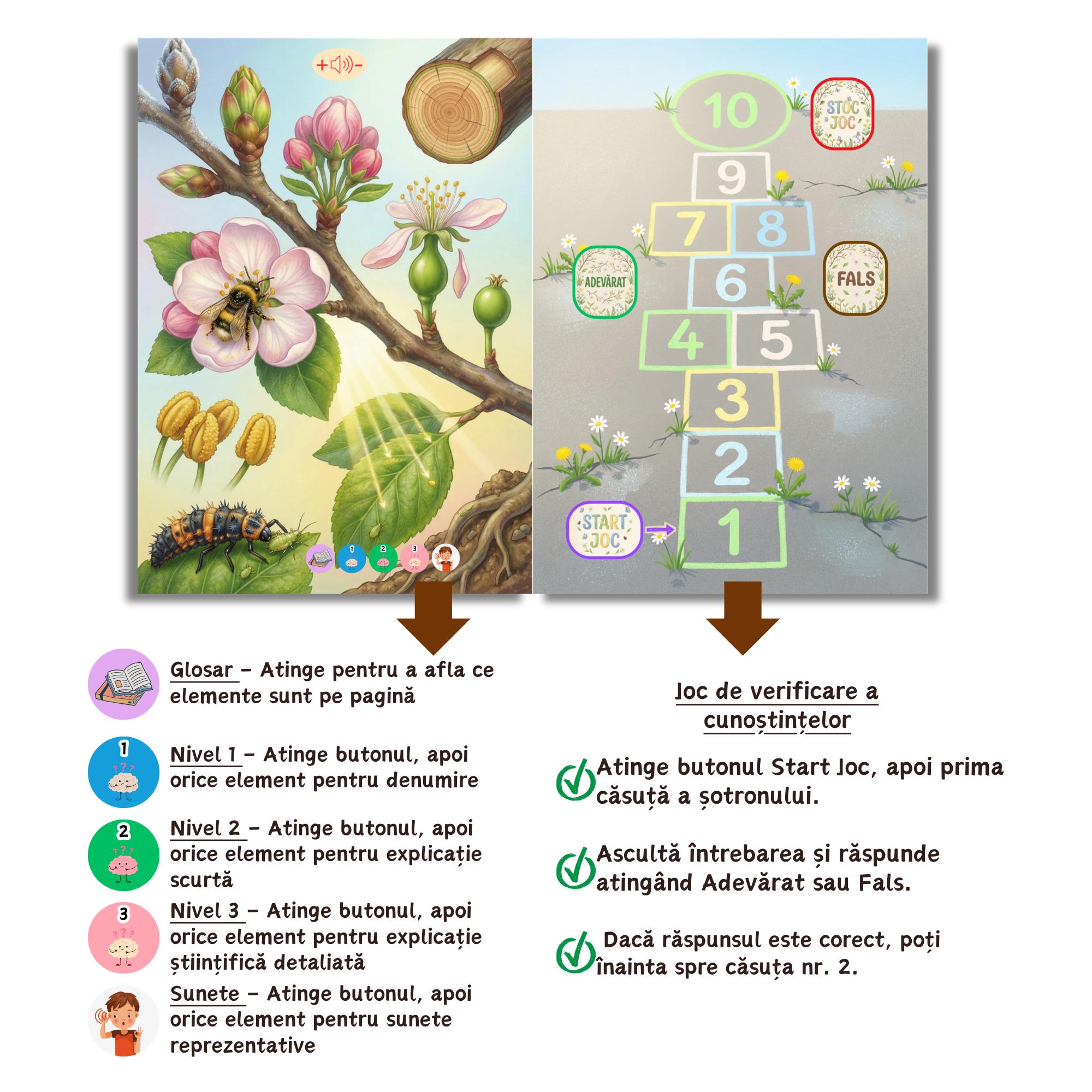 Marea Carte a Primăverii