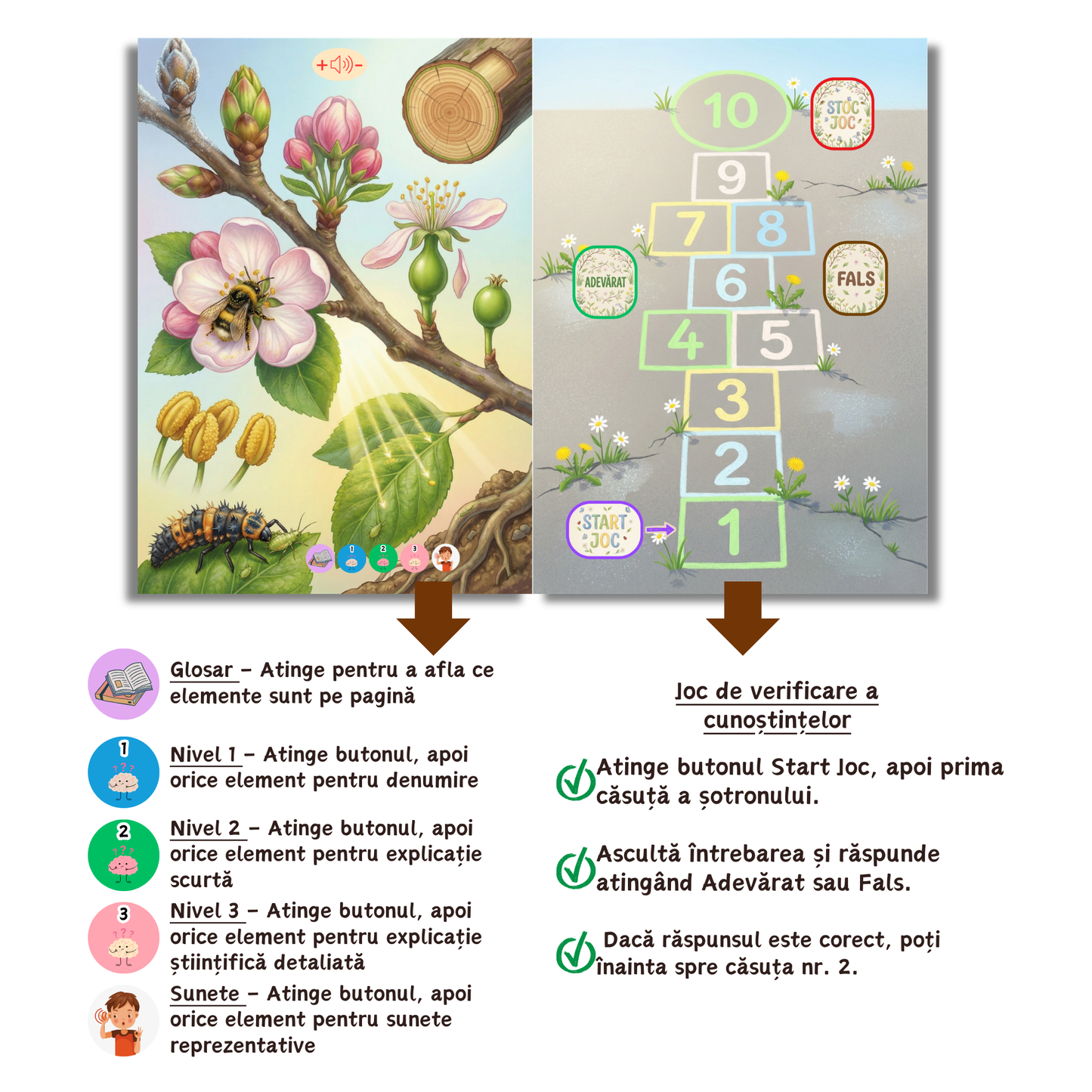 Marea Carte a Primăverii