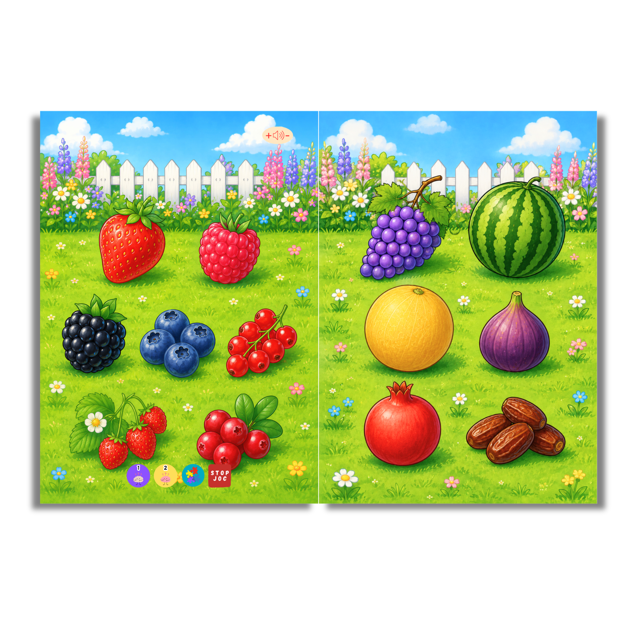 Bebe Învață Legume, Fructe, Flori