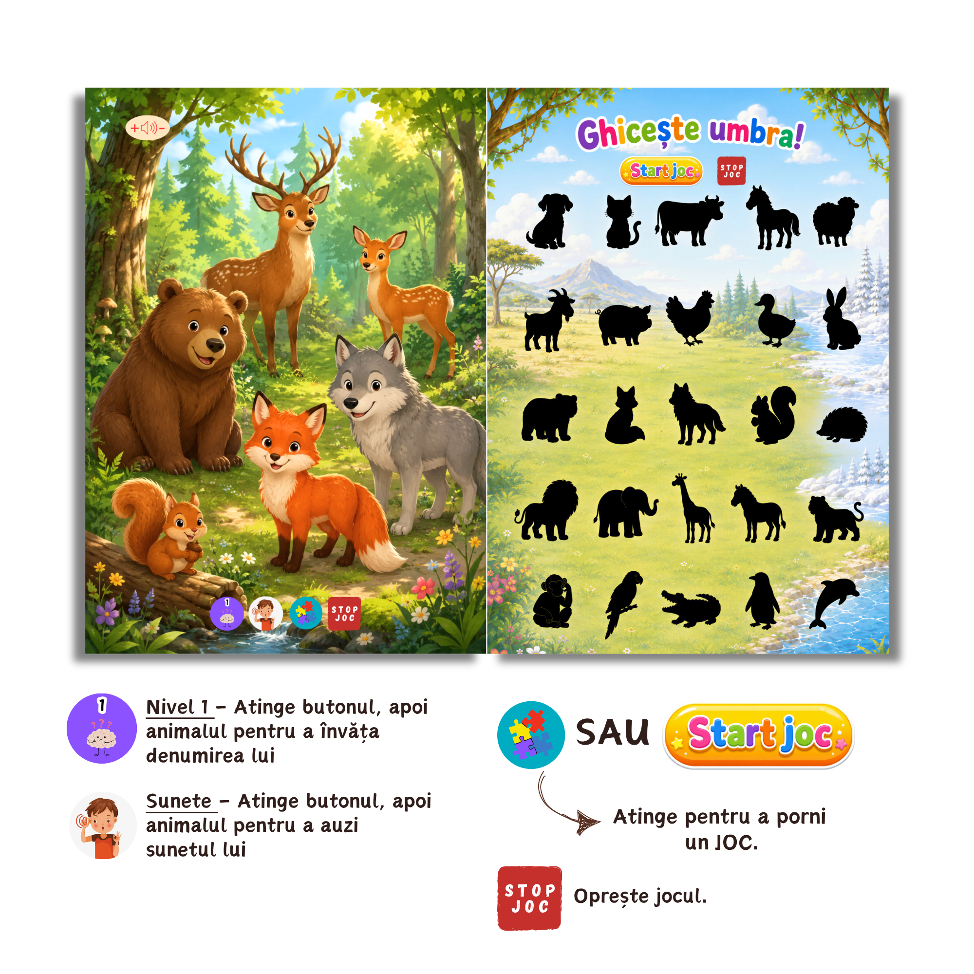 Bebe Învață Animalele