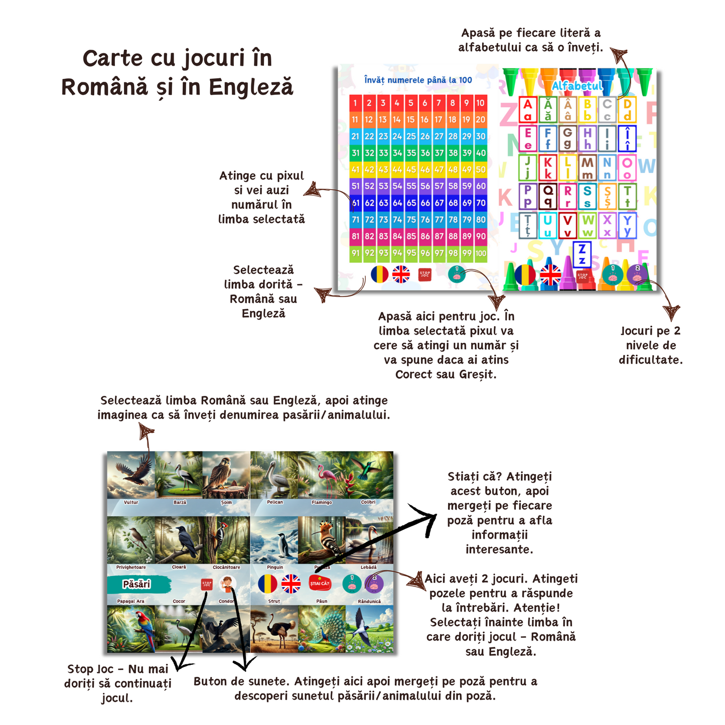 Lumea Cuvintelor - Jocuri în Română și Engleză