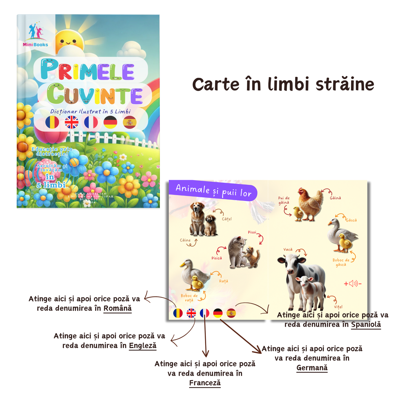 Pachet Pix Interactiv + Carte Sau Joc