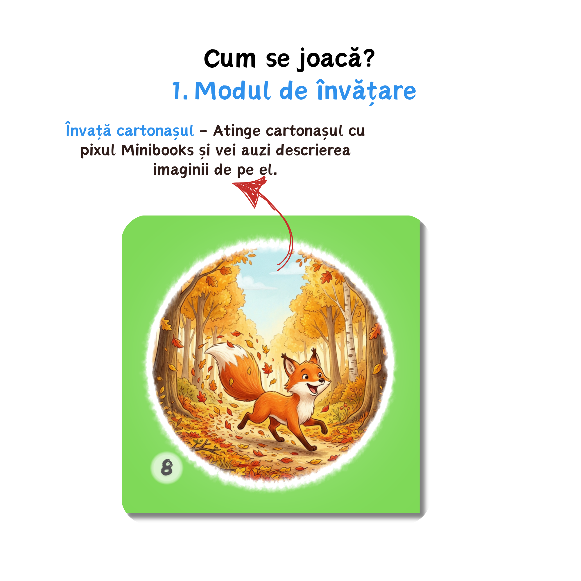 Ghicitori Ilustrate - Cartonașe Interactive
