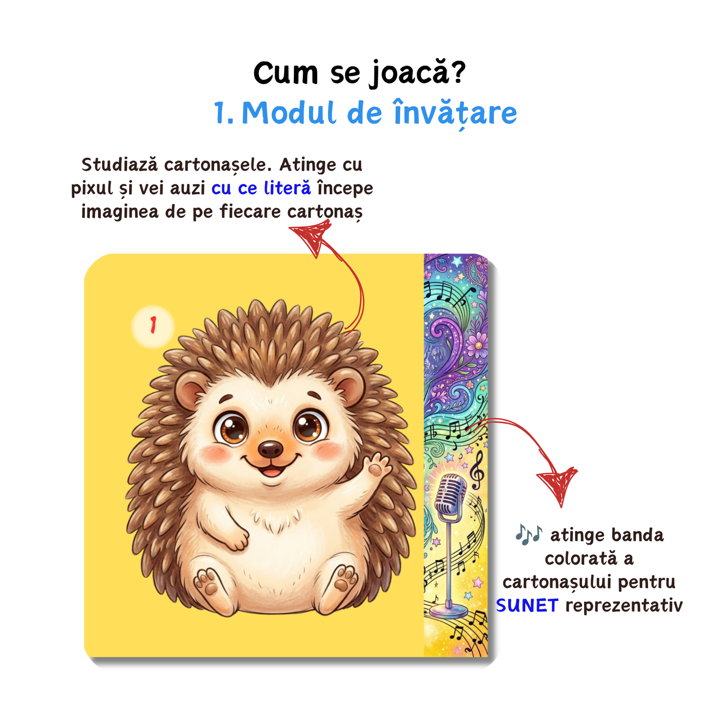 Cu ce literă începe? Cartonașe Interactive