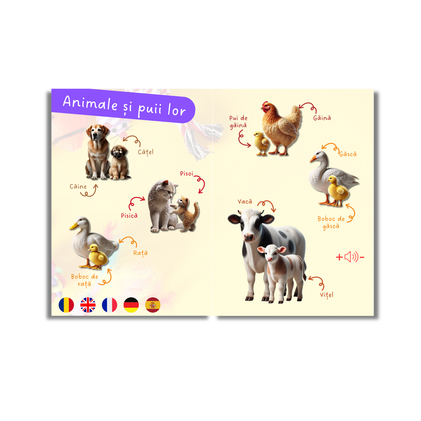 Primele Cuvinte - Dicționar Ilustrat în 5 Limbi